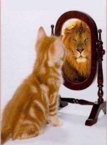 Confiance en soi - Chat lion miroir